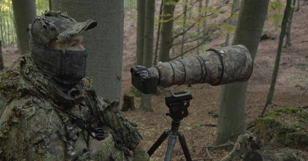 Výhody bezzrkadlovky na WILDLIFE. Prečo som vybral Canon R6?