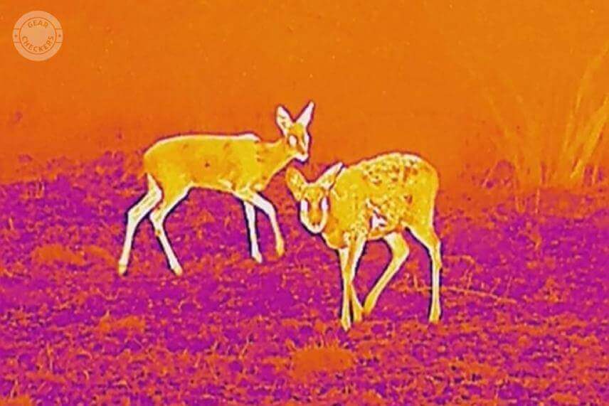 Fotopasce vn&iacute;maj&uacute; teplo. Vďaka PIR senzoru dok&aacute;žu rozoznať, keď sa pred nimi h&yacute;be niečo živ&eacute;.&nbsp;