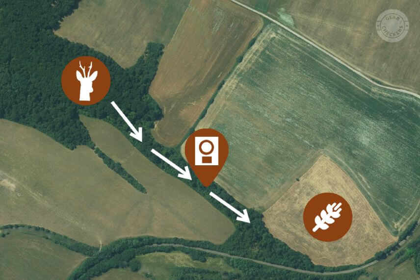 Pri v&yacute;bere miesta pre fotopascu je dobr&eacute; poznať okolie a vedieť, kde sa aktu&aacute;lne nach&aacute;dzaj&uacute; najatrakt&iacute;vnej&scaron;ie zdroje potravy.