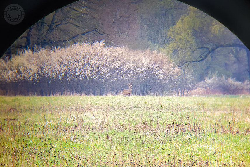Ak zbad&aacute;te srnca a chcete ho lep&scaron;ie spoznať, umiestnite k hrabanisk&aacute;m v okol&iacute; fotopascu. Je veľk&aacute; &scaron;anca, že sa tam srnec uk&aacute;že.