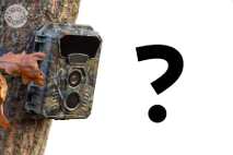 Ako vybrať tú správnu fotopascu? Podrobný sprievodca nákupom