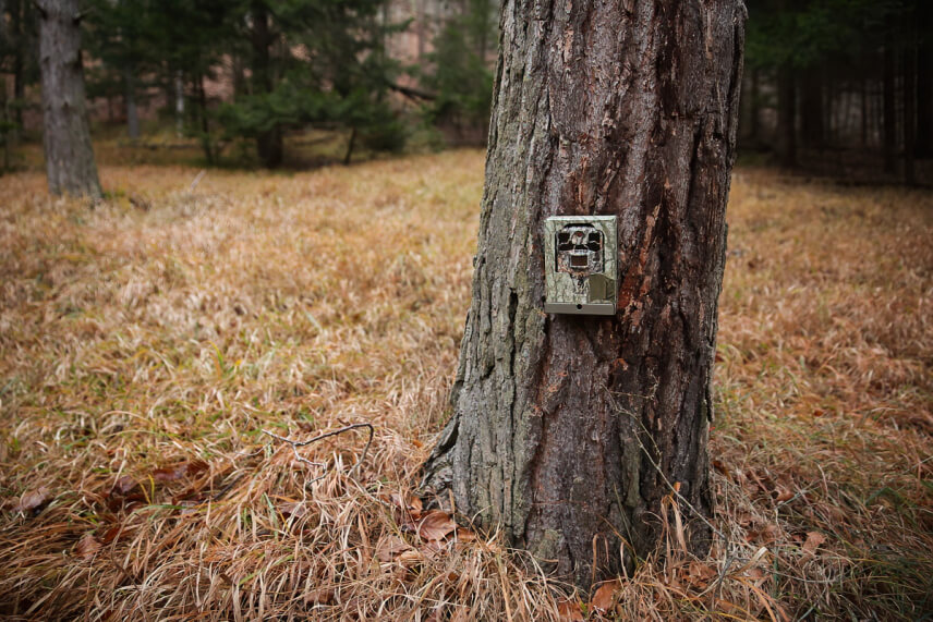 Takto vyzerala fotopasca Browning Spec Ops Edge pred zamaskovaním…