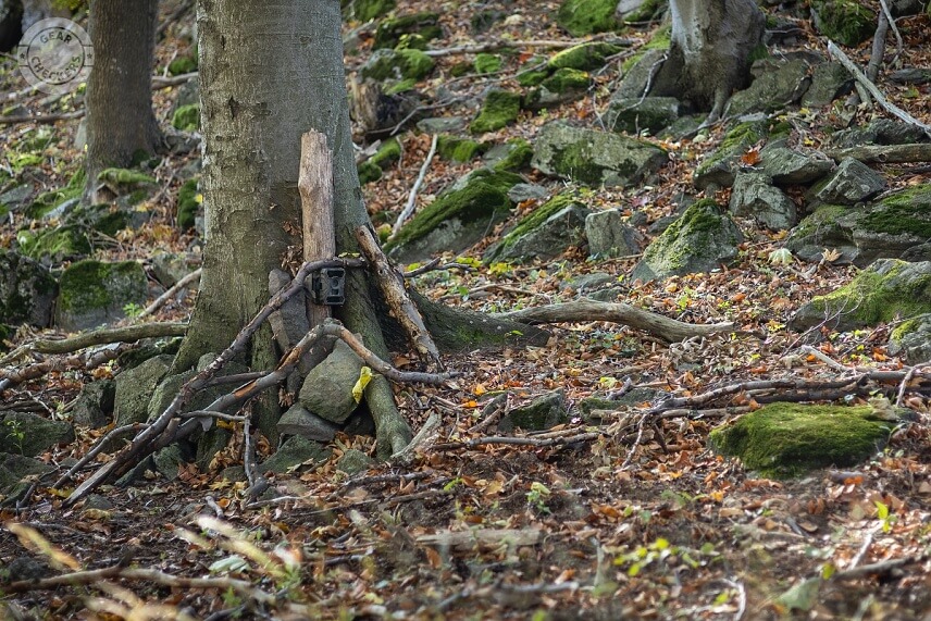 Fotopasca Welltar 7330 upevnená na suchom konári medzi koreňovými nábehmi stromu. Fotopasca drží na svojom mieste, je vo vhodnej výške a so správnym uhlom. Pri pohľade z inej strany však vďaka takémuto upevneniu nič neprezrádza jej prítomnosť.