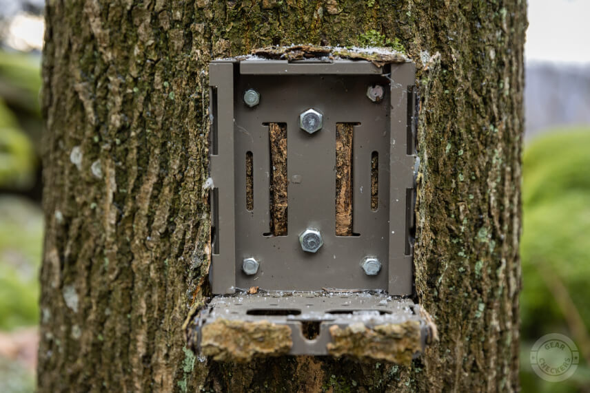 Box prišróbovaný ku stromu.