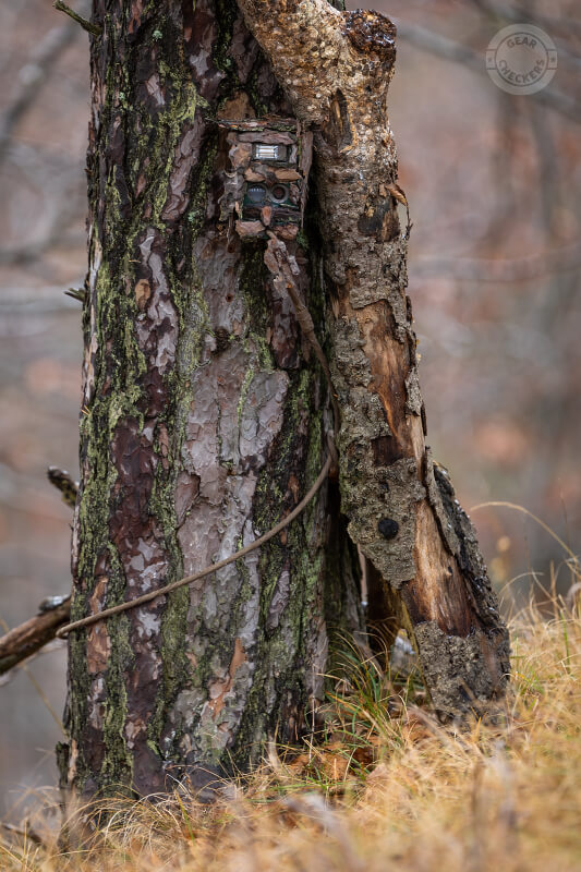 Zamaskovaná fotopasca CuddeBack C1.