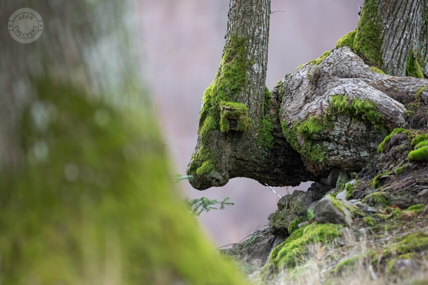 Machom zamaskovaná fotopasca OMG-H501.