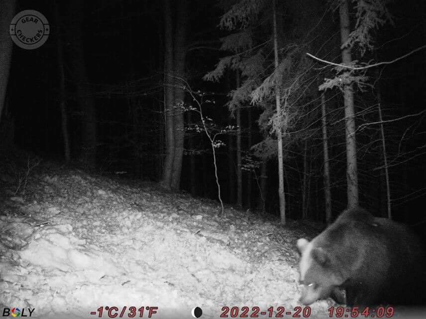 Fotka z fotopasce BolyGuard SG2060-K