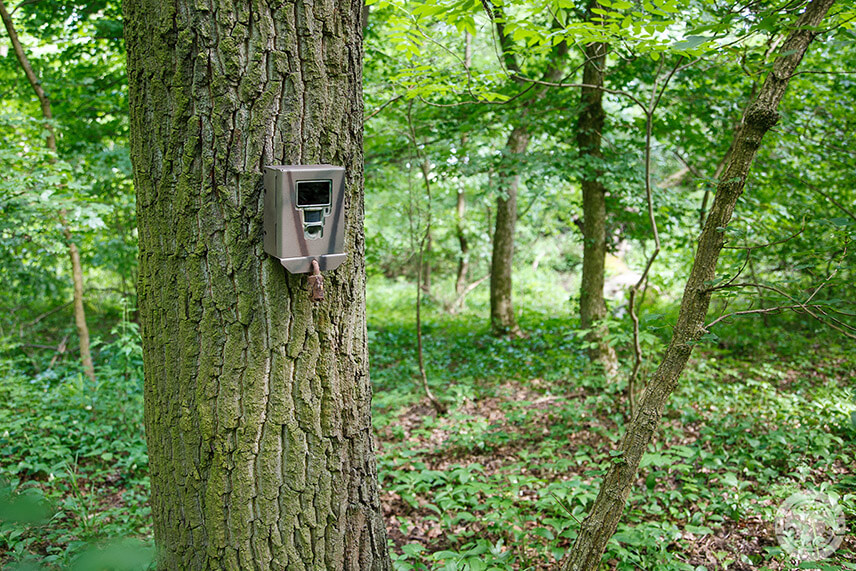 Box celkom dobre spl&yacute;va s okol&iacute;m aj bez dodatočn&eacute;ho maskovania.