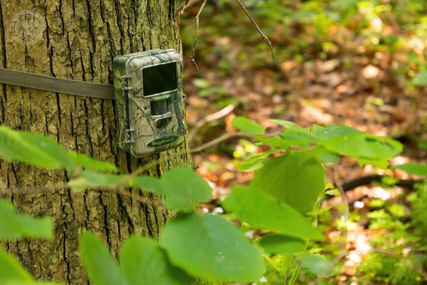 Vďaka rozmerom a maskovaciemu vzoru na celom tele fotopasce spl&yacute;va BolyGuard SG2060-K veľmi dobre.