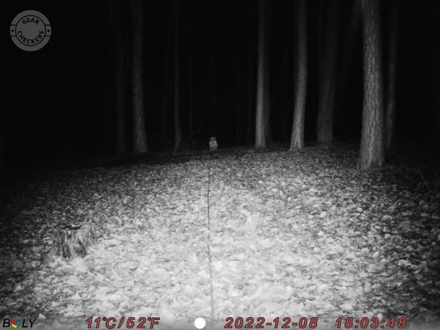 Nočný prísvit má efektívny dosah 25 metrov.