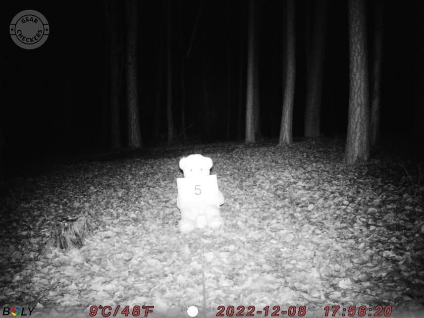 Vzdialenosť objektu od fotopasce: 5 m.