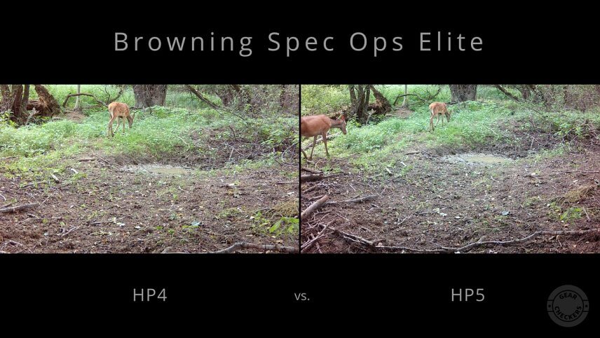 Zvieratá sa na zábere objavujú skôr.