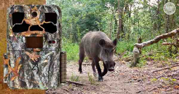 Recenzia Browning Spec Ops Elite HP4