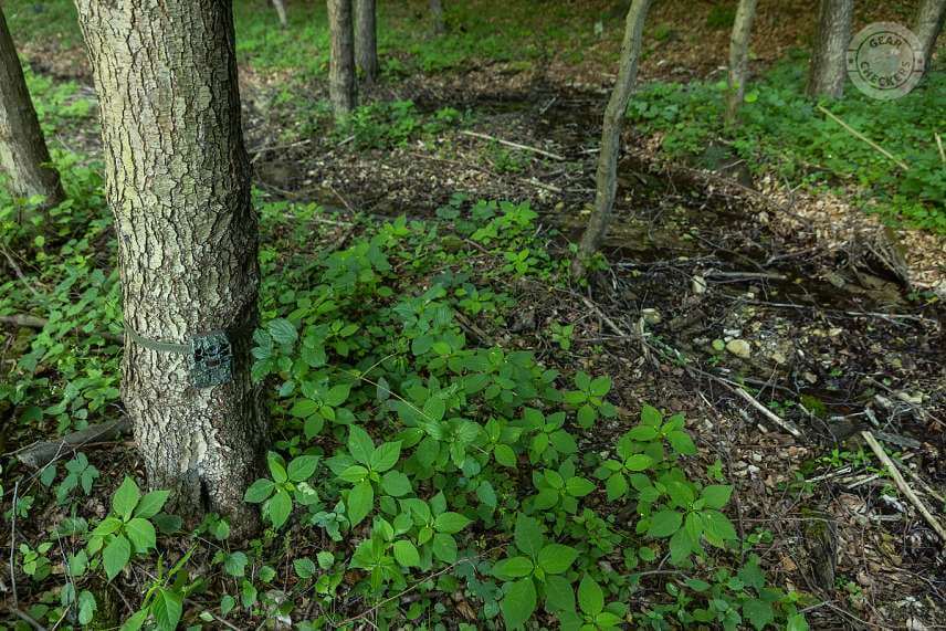 Fotopasca Browning Spec Ops Elite HP5 dobre splýva s okolím