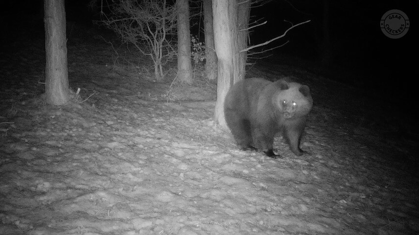 Foto z fotopasce Bushnell Core DS-4K No Glow