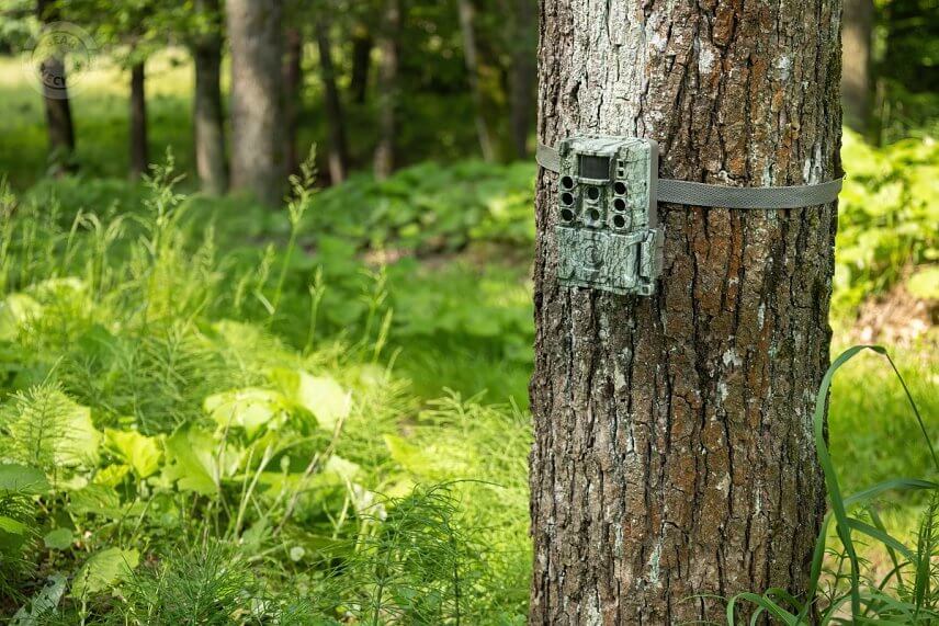 Bushnell Core DS-4K No Glow m&aacute; veľmi dobr&yacute; maskovac&iacute; vzor a minimum leskl&yacute;ch pl&ocirc;ch, vďaka čomu fotopasca spl&yacute;va na kmeni stromu veľmi dobre.