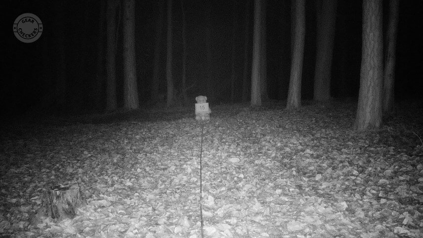 Vzdialenosť objektu od fotopasce: 15 m. Nočný prísvit v režime rýchly pohyb (Fast Motion).