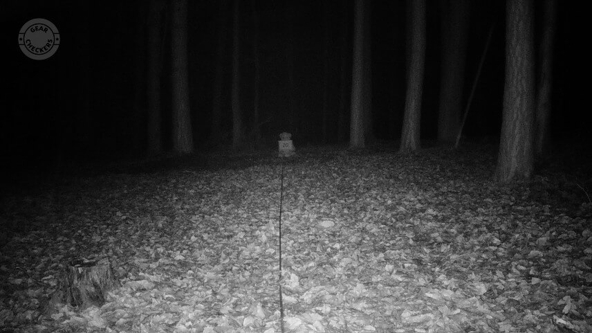 Vzdialenosť objektu od fotopasce: 20 m. Nočný prísvit v režime rýchly pohyb (Fast Motion).