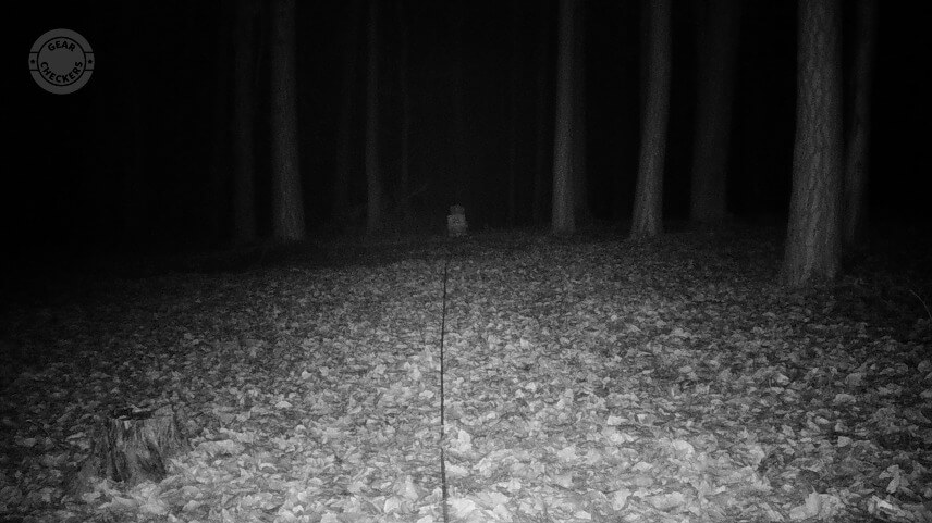 Vzdialenosť objektu od fotopasce: 25 m. Nočný prísvit v režime rýchly pohyb (Fast Motion).