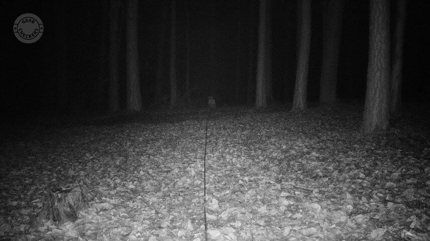 Vzdialenosť objektu od fotopasce: 30 m. Nočný prísvit v režime rýchly pohyb (Fast Motion).