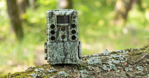 Recenzia fotopasce Bushnell Core DS-4K No Glow