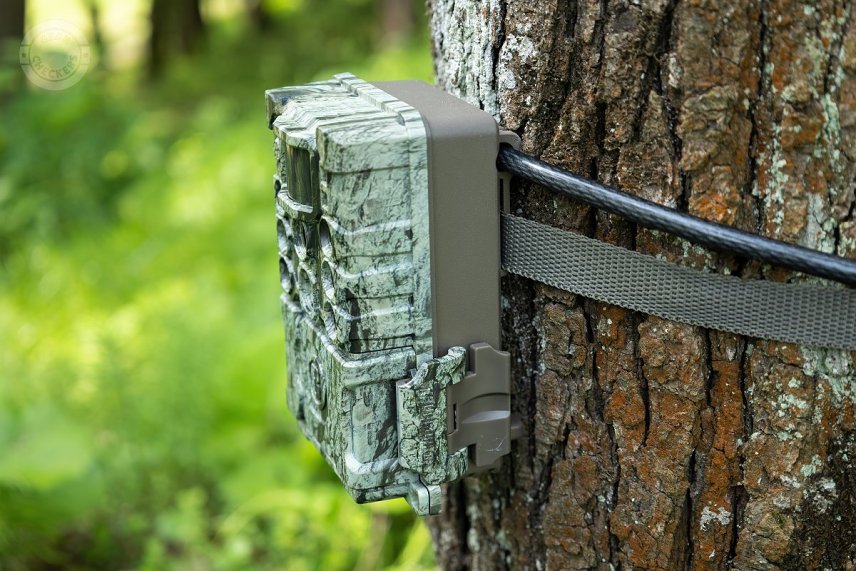 V zadnej časti fotopasce Bushnell Core DS-4K No Glow sa nach&aacute;dzaj&uacute; ok&aacute; pre 8 mm lanov&yacute; z&aacute;mok. Predn&yacute; otv&aacute;rateľn&yacute; kryt m&ocirc;že byť zamknut&yacute; visiacim z&aacute;mkom.