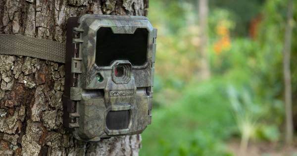 Fotopasca FOXcam WiFi - Recenzia a Test