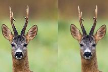 Klamlivé megapixely fotopascí: Čo je umelé zväčšovanie rozlíšenia?