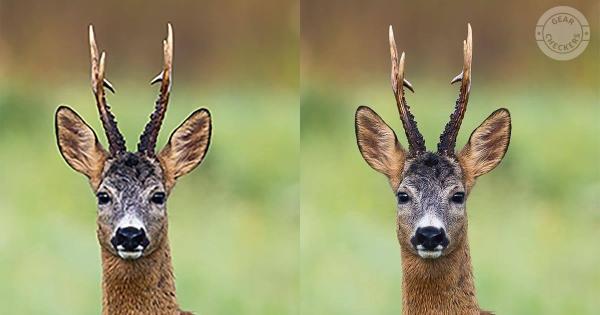 Klamlivé megapixely fotopascí: Čo je umelé zväčšovanie rozlíšenia?