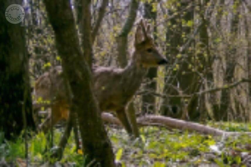 Takto by vyzeral v&yacute;rez fotky zachytenej na 2 Mpx sn&iacute;mač a interpolovanej na 14 Mpx. Kto by na tejto fotke rozoznal predn&uacute; v&yacute;sadu, nech sa prihl&aacute;si! 🙂