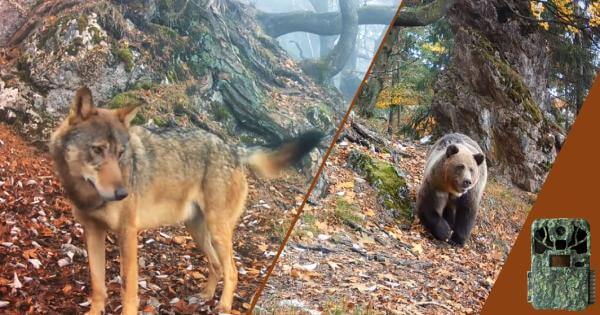 Video z fotopasce: Jeseň medzi skalami vo Veľkej Fatre