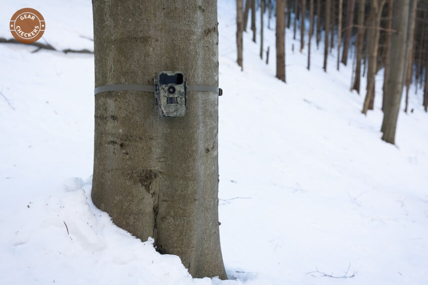 Maskovací vzor a farba KeepGuard KG 790 sú veľmi univerzálne, fotopasca zapadne takmer do každého prostredia. Dokonca splýva celkom dobre aj na buku s hladkou kôrou.