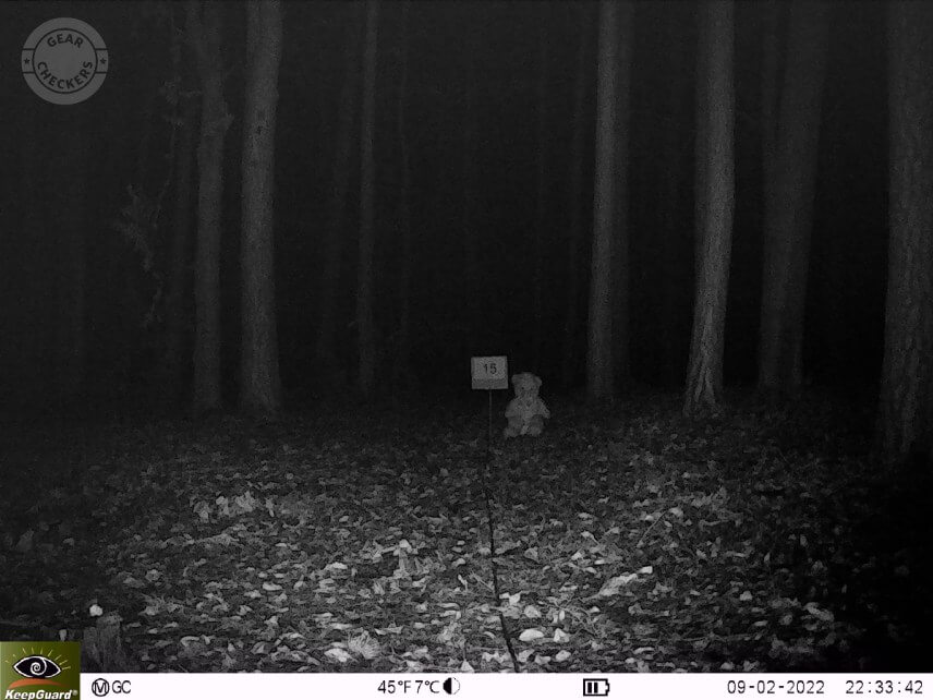 Vzdialenosť objektu od fotopasce 15 m. Výkon LED: maximálny, NV uzávierka: automatická.