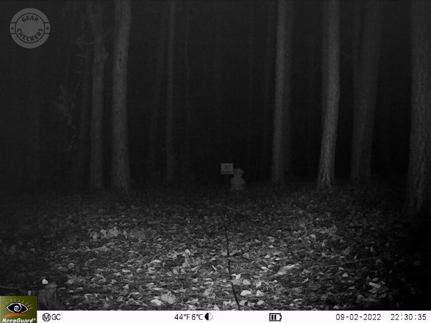 Vzdialenosť objektu od fotopasce 20 m. Výkon LED: maximálny, NV uzávierka: automatická.