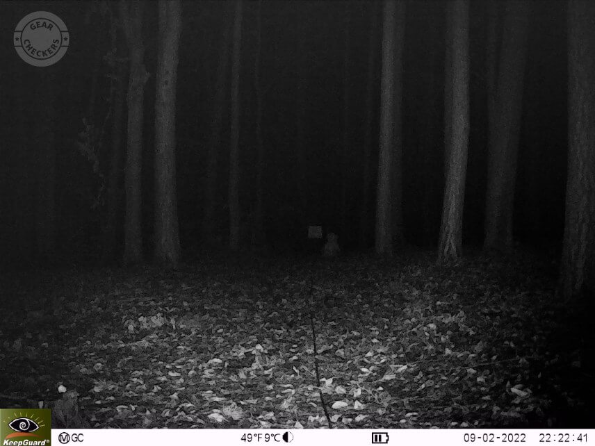 Vzdialenosť objektu od fotopasce 25 m. Výkon LED: maximálny, NV uzávierka: automatická.