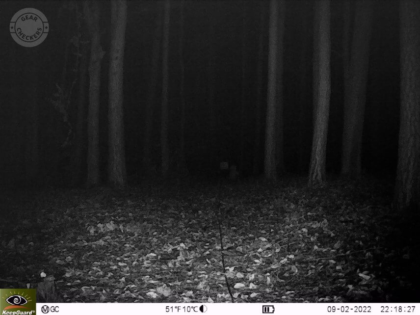 Vzdialenosť objektu od fotopasce 30 m. Výkon LED: maximálny, NV uzávierka: automatická.