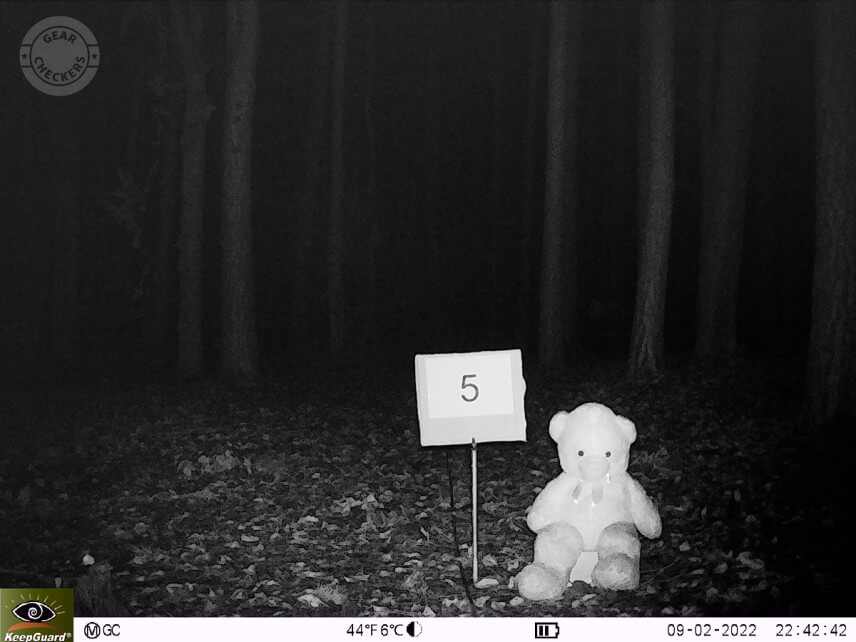 Vzdialenosť objektu od fotopasce 5 m. Výkon LED: maximálny, NV uzávierka: automatická.