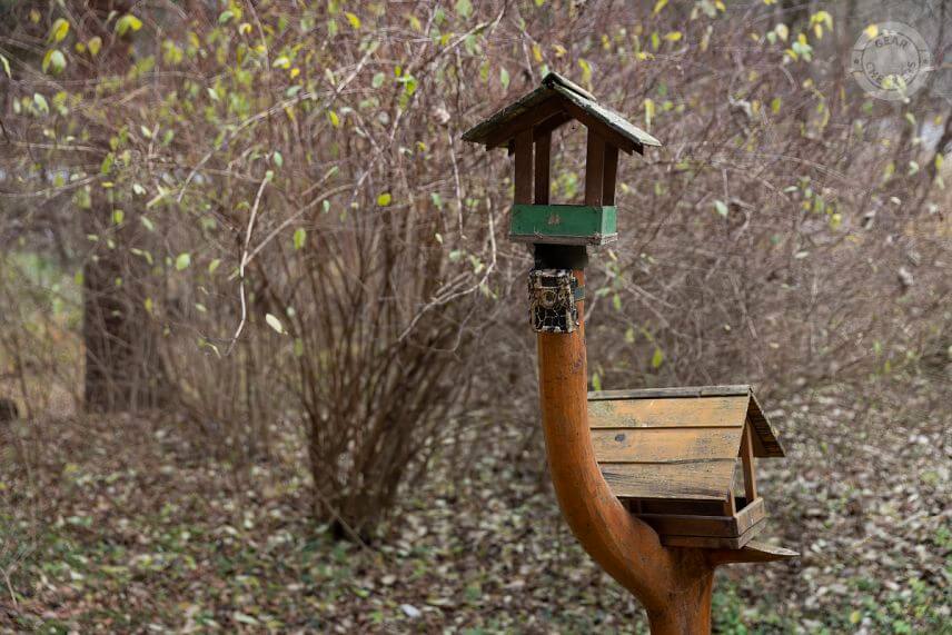 Umiestnenie fotopasce