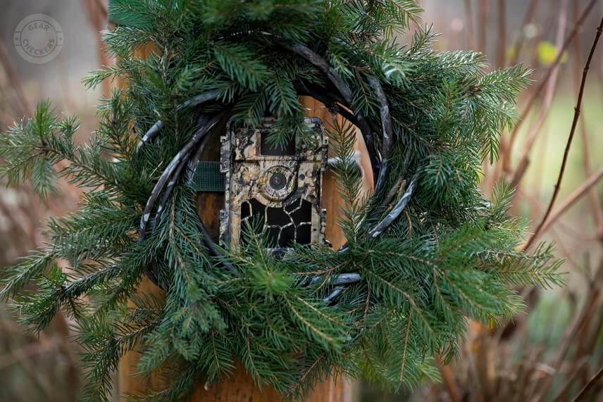 Umiestnenie fotopasce