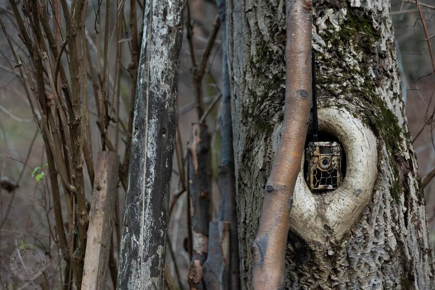 Umiestnenie fotopasce