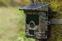 Najlepšie fotopasce v pomere cena / výkon - TOP modely 2025