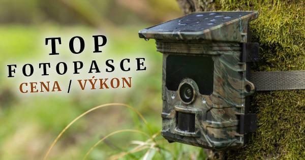 Najlepšie fotopasce v pomere cena / výkon - TOP modely 2025