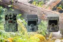 Najlepšie fotopasce na video - Porovnanie TOP modelov 2025