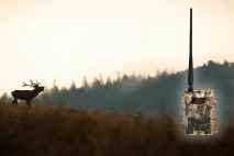 Najlepšie MMS a 4G fotopasce s odosielaním 2025