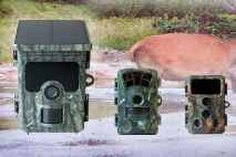 Najlepšie fotopasce na fotky - porovnanie s ukážkami