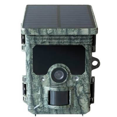 Wachman Solar