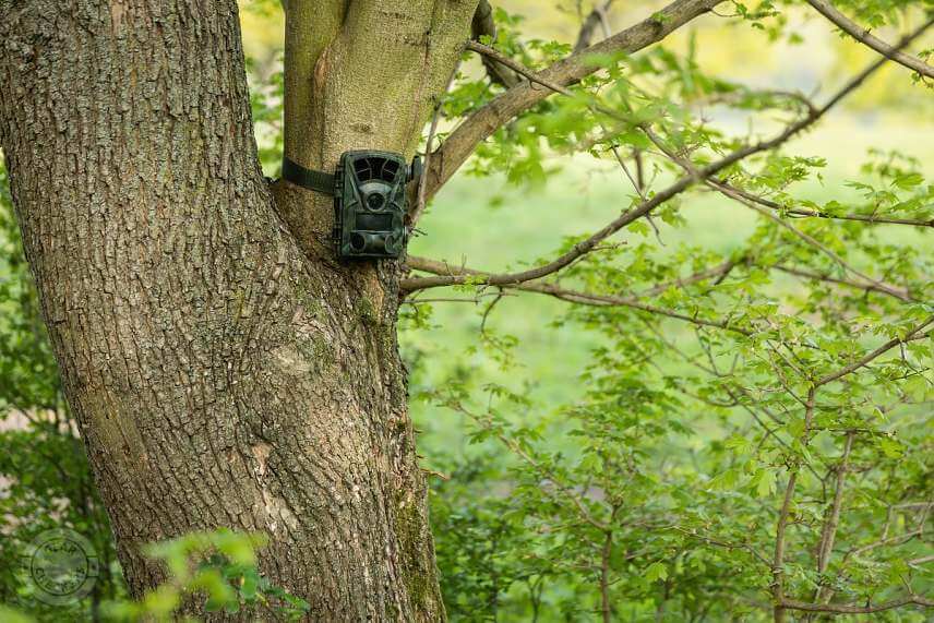 Fotopasca OMG H885 16MP