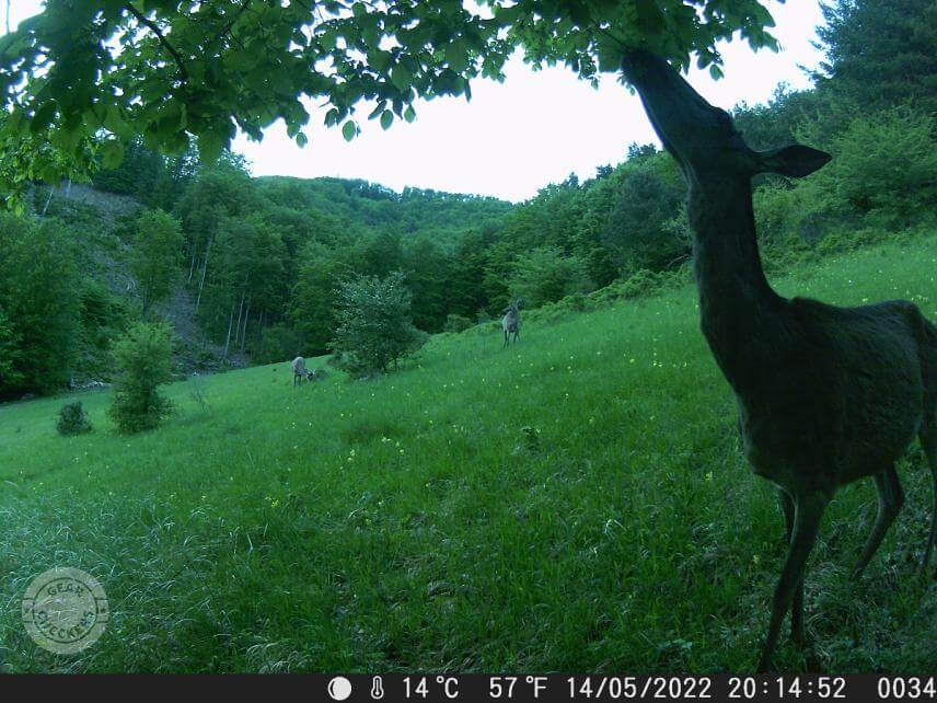 Najmä denné zábery svojou kvalitou príjemne prekvapia. Výhodou je taktiež široký uhol záberu.