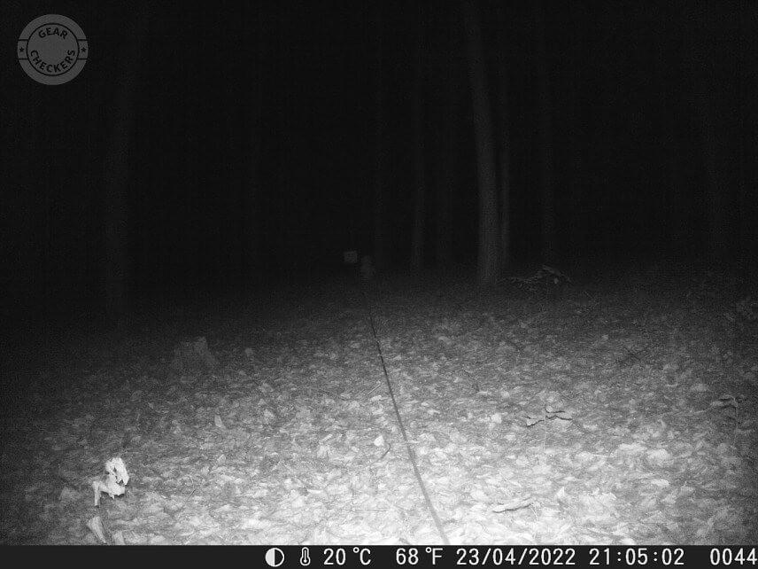 Vzdialenosť objektu od fotopasce: 15 m. Intenzita nočného prísvitu nastavená na blízko (near).