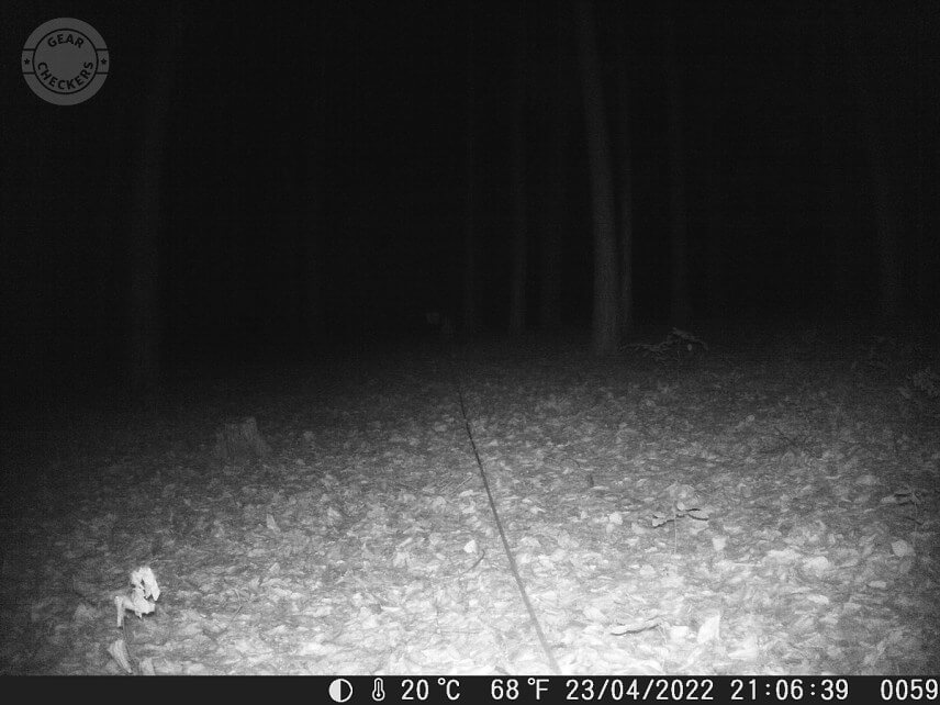 Vzdialenosť objektu od fotopasce: 20 m. Intenzita nočného prísvitu nastavená na blízko (near).